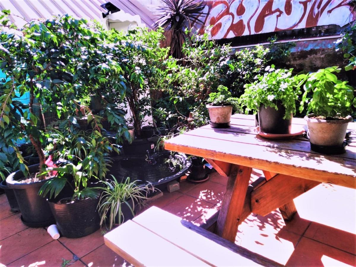 Asylum Sydney Backpackers Hostel Exterior foto